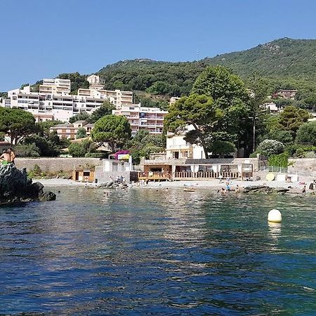 Charmant Studio Climatise Avec Parking, Au Coeur De Pietranera, Plage A 500M, Bastia A 2Km Ville-di-Pietrabugno المظهر الخارجي الصورة
